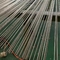 TP309S / 310S Stainless Steel Bright Annealed Tube ASTM A213 6.35 * 0.71mm