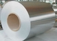 Cold Rolled / Hot Rolled Stainless Steel Coils