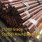 OFHC C10100 Copper Solid Bar Rod Oxygen Free High Conductivity OD25mm Alloy C10100