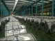 ASTM A653 CS Type B Galvanized Steel Coil and Sheet G30 G60 G90 MINIMIZED SPANGLE
