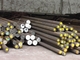 904l Stainless Steel Alloy Round Bar Cold Drawn / Hot Rolled / Forging Stainless Steel Rod Grade 904L