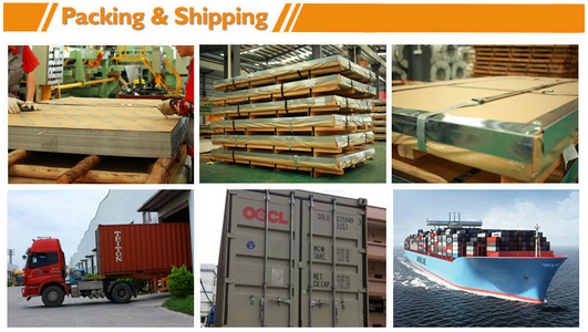 SGS Galvanized Steel Coils S320GD+Z Chromed Skin Pass Oiled 3~14MT 3