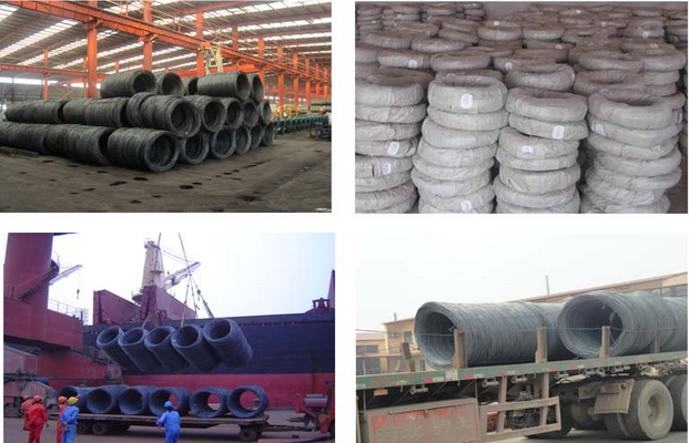 SAE1006, SAE1008, SAE1010, Q195, Q215, Q235/Low Carbon Steel Wire Rod 1